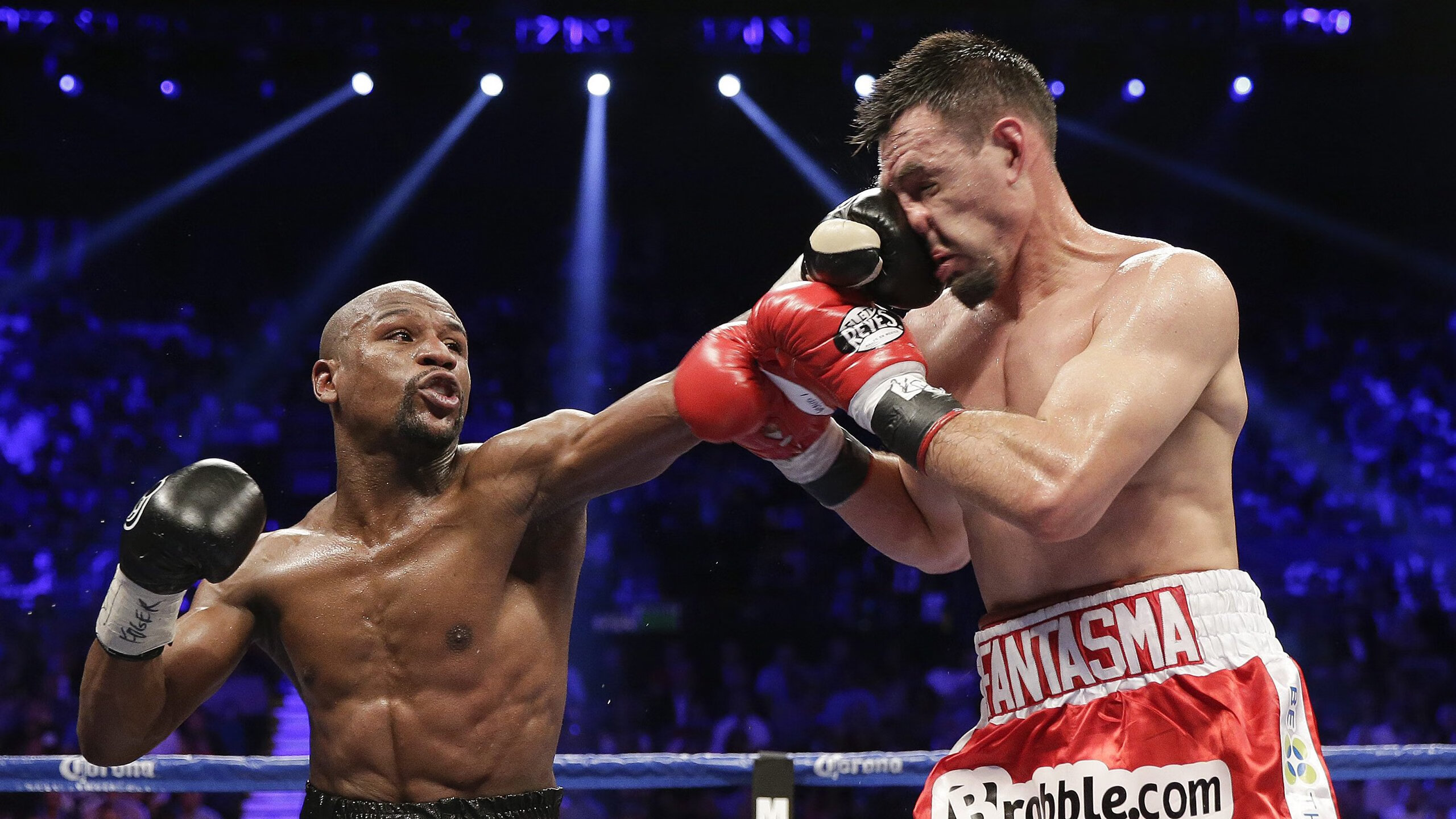 西班牙马术协会与国际马术联合会合作，举办国际马术交流活动，促进技术交流。